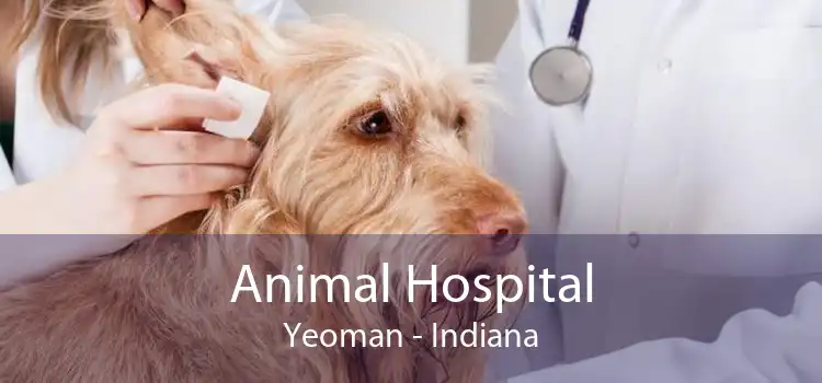 Animal Hospital Yeoman - Indiana