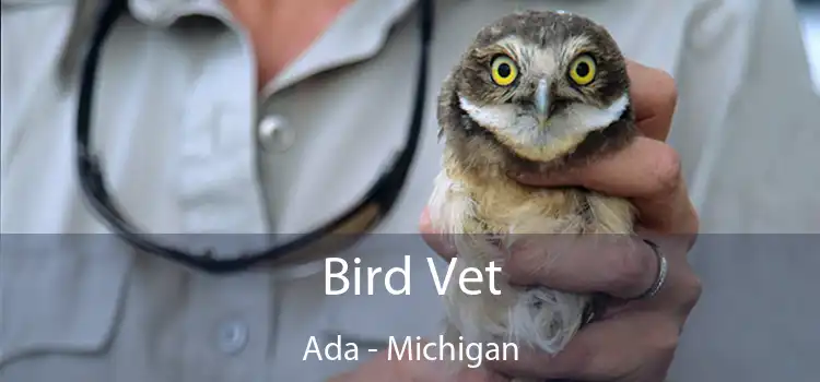 Bird Vet Ada - Michigan