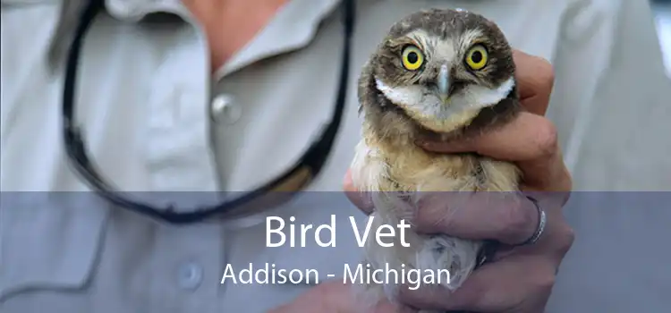 Bird Vet Addison - Michigan