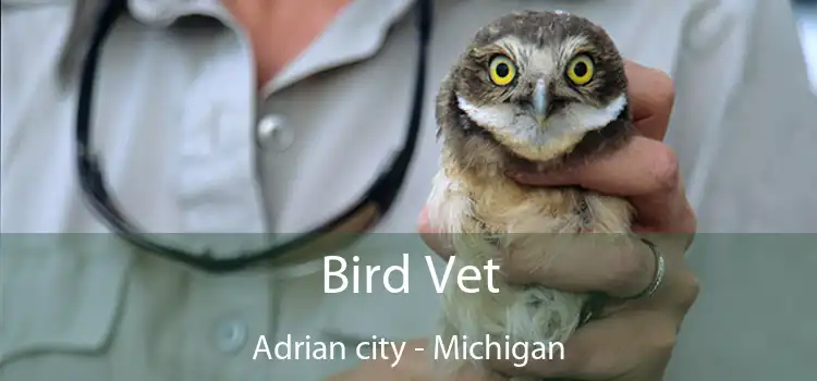 Bird Vet Adrian city - Michigan