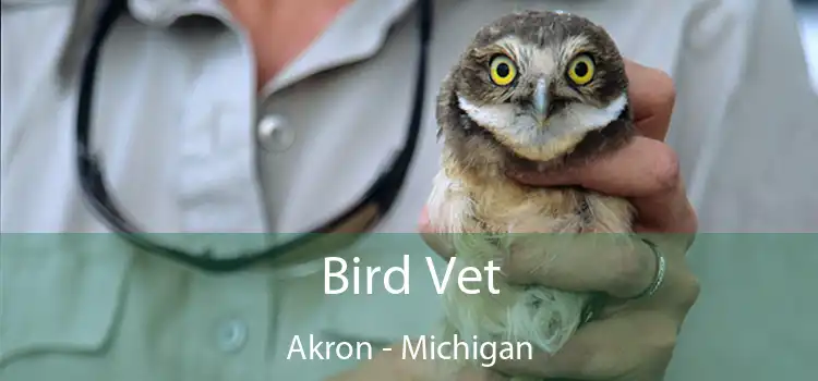 Bird Vet Akron - Michigan