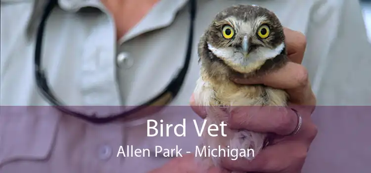 Bird Vet Allen Park - Michigan