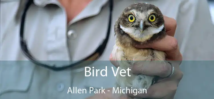 Bird Vet Allen Park - Michigan