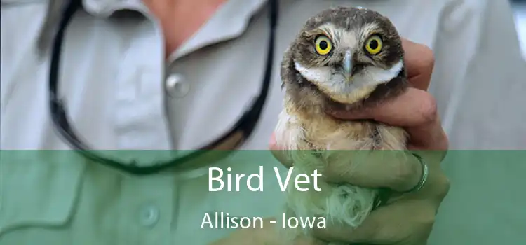 Bird Vet Allison - Iowa