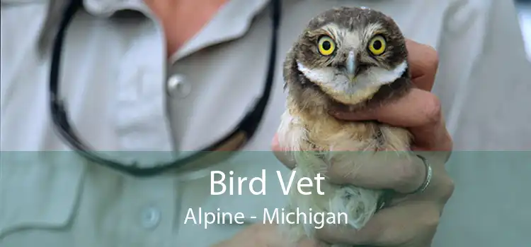 Bird Vet Alpine - Michigan