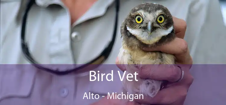 Bird Vet Alto - Michigan