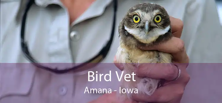Bird Vet Amana - Iowa