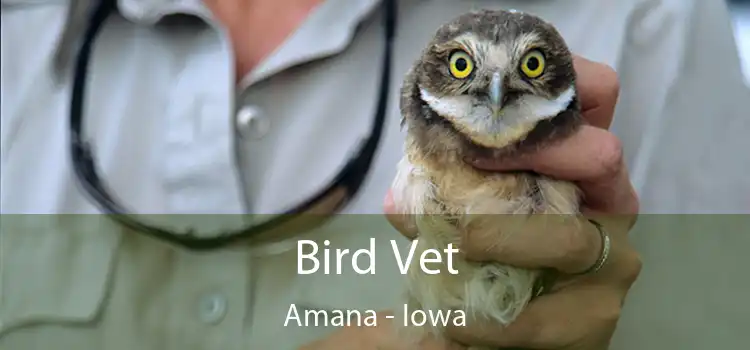 Bird Vet Amana - Iowa