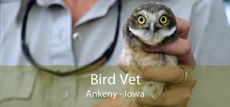 Bird Vet Ankeny - Iowa