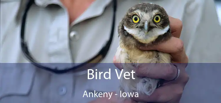 Bird Vet Ankeny - Iowa