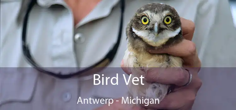 Bird Vet Antwerp - Michigan