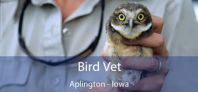 Bird Vet Aplington - Iowa