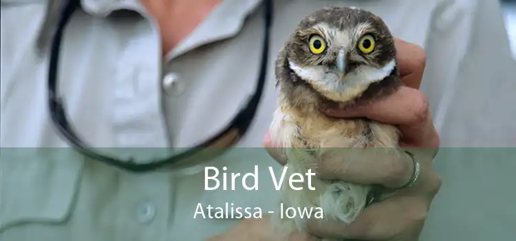 Bird Vet Atalissa - Iowa