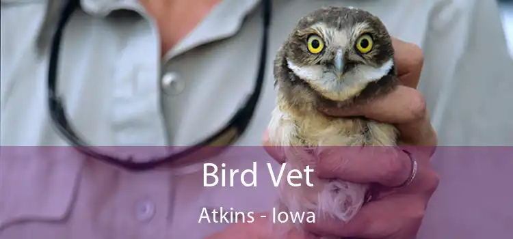 Bird Vet Atkins - Iowa