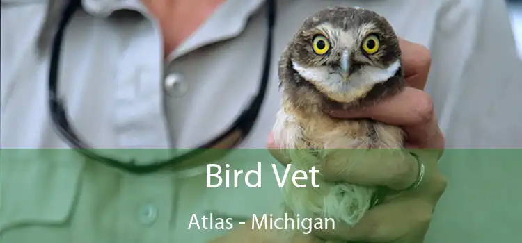 Bird Vet Atlas - Michigan