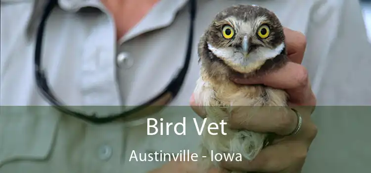 Bird Vet Austinville - Iowa