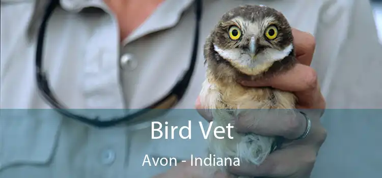 Bird Vet Avon - Indiana