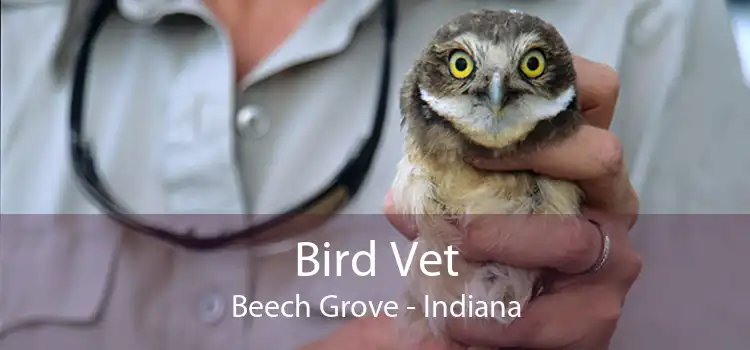 Bird Vet Beech Grove - Indiana