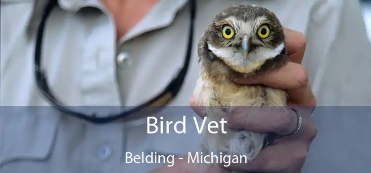 Bird Vet Belding - Michigan