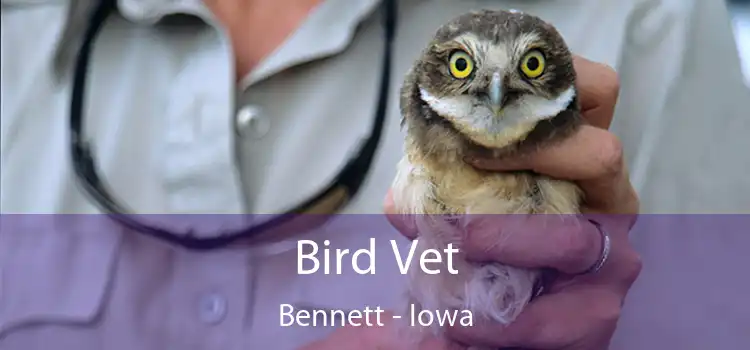 Bird Vet Bennett - Iowa