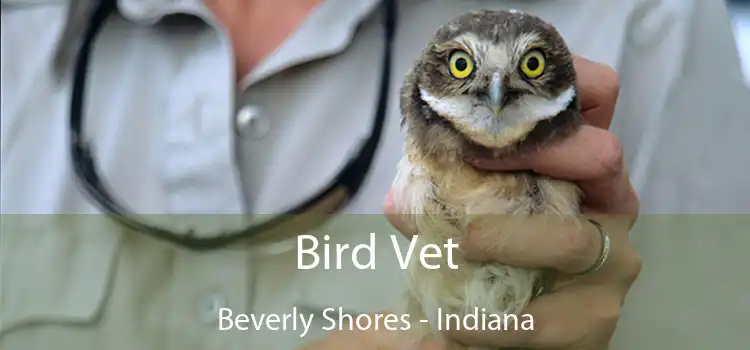 Bird Vet Beverly Shores - Indiana