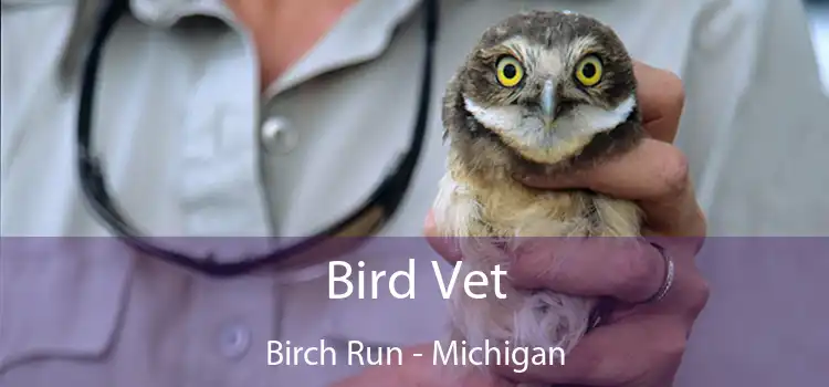 Bird Vet Birch Run - Michigan