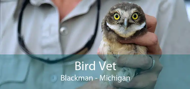 Bird Vet Blackman - Michigan