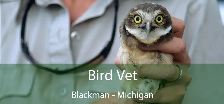 Bird Vet Blackman - Michigan