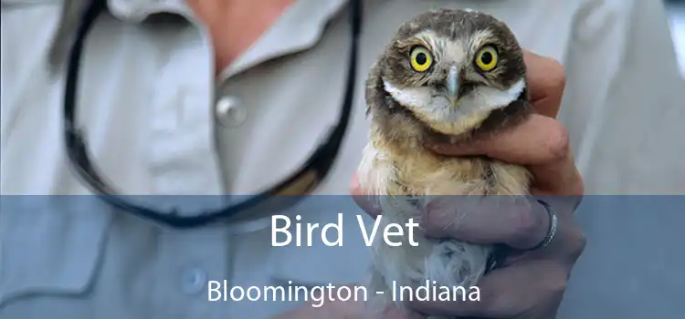 Bird Vet Bloomington - Indiana