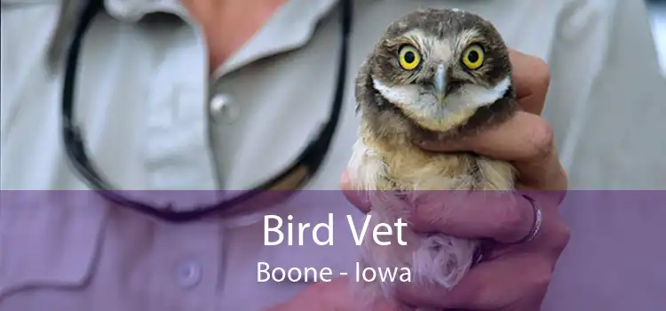 Bird Vet Boone - Iowa