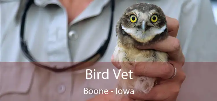 Bird Vet Boone - Iowa