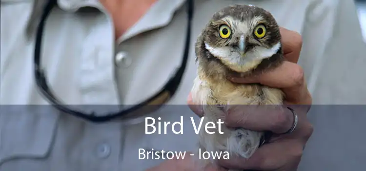 Bird Vet Bristow - Iowa