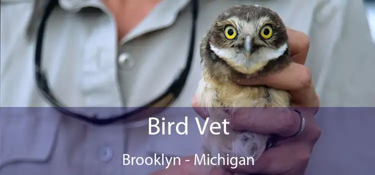 Bird Vet Brooklyn - Michigan