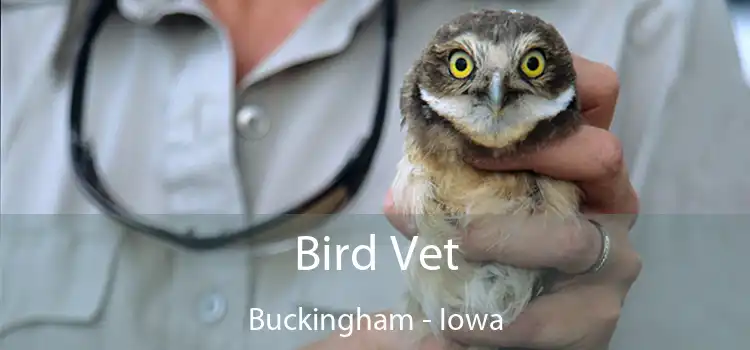 Bird Vet Buckingham - Iowa