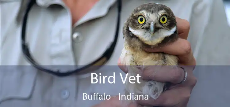 Bird Vet Buffalo - Indiana