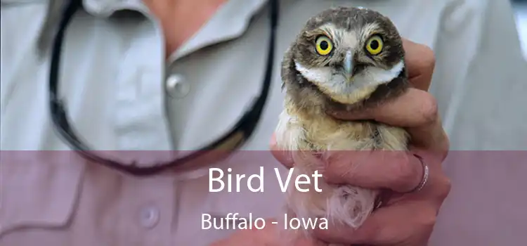 Bird Vet Buffalo - Iowa