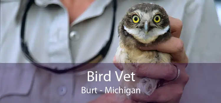 Bird Vet Burt - Michigan