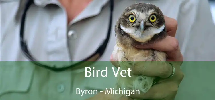 Bird Vet Byron - Michigan