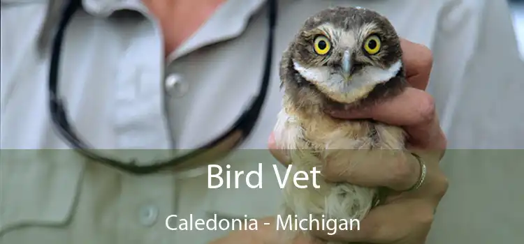 Bird Vet Caledonia - Michigan