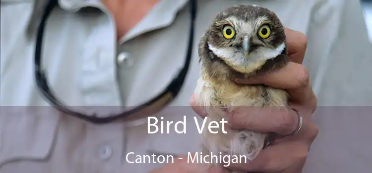 Bird Vet Canton - Michigan