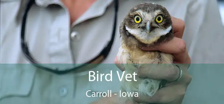 Bird Vet Carroll - Iowa