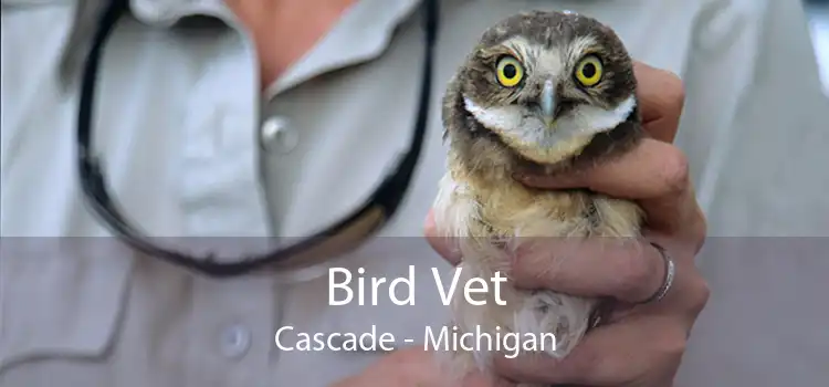 Bird Vet Cascade - Michigan