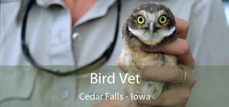 Bird Vet Cedar Falls - Iowa