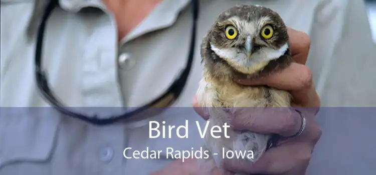 Bird Vet Cedar Rapids - Iowa