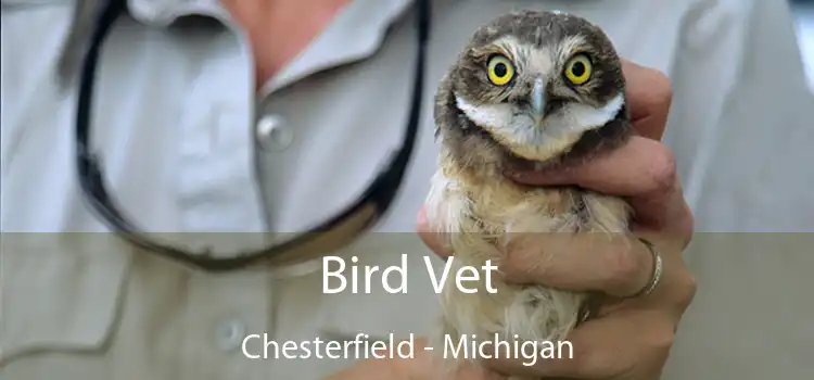 Bird Vet Chesterfield - Michigan