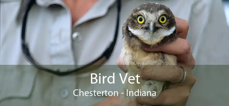 Bird Vet Chesterton - Indiana