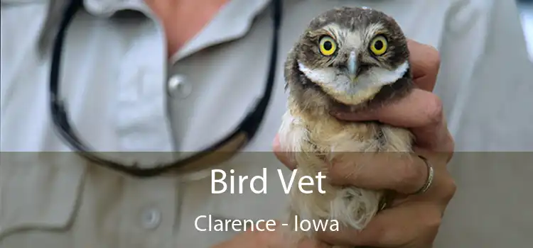 Bird Vet Clarence - Iowa