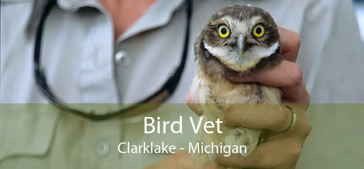 Bird Vet Clarklake - Michigan