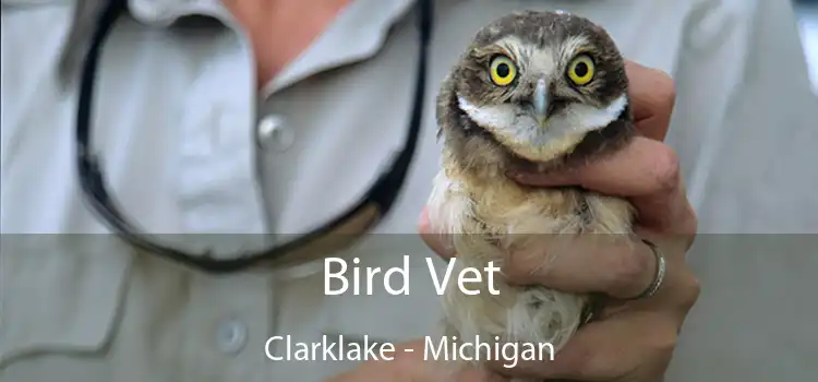 Bird Vet Clarklake - Michigan