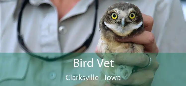 Bird Vet Clarksville - Iowa